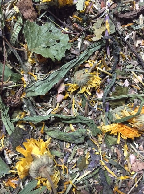 Herbal Pets Květy měsíčku 100 g