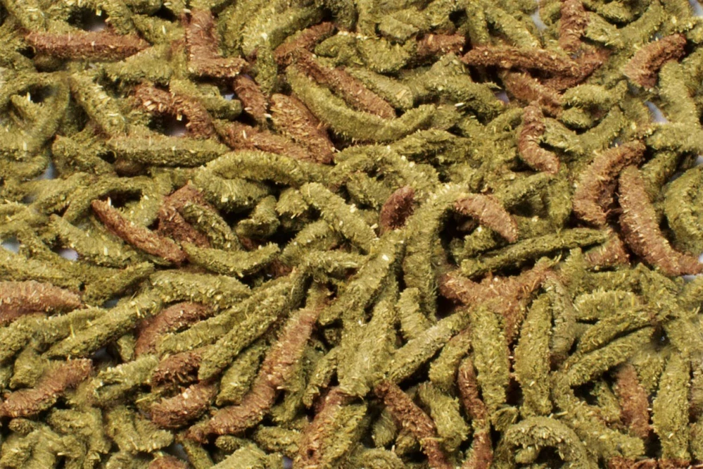 Anbio Činčila a osmák Grainless Complete 600 g