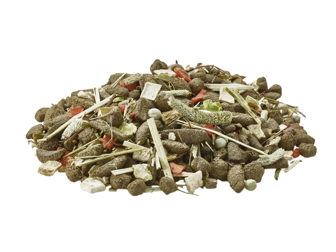 VERSELE-LAGA Nature degu 2,3 kg NEW