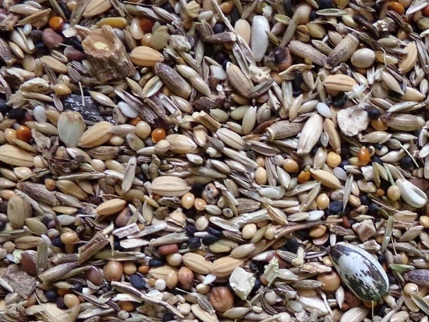 Směs semínek a kořenů 100 g