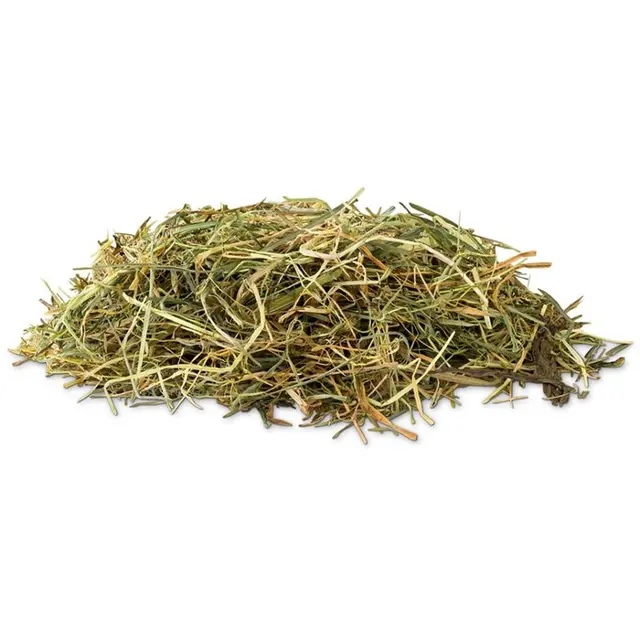 Vitakraft Vita Verde Bojínkové seno s mátou 500 g